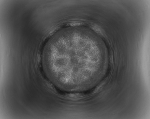 X0000086280367200704191951