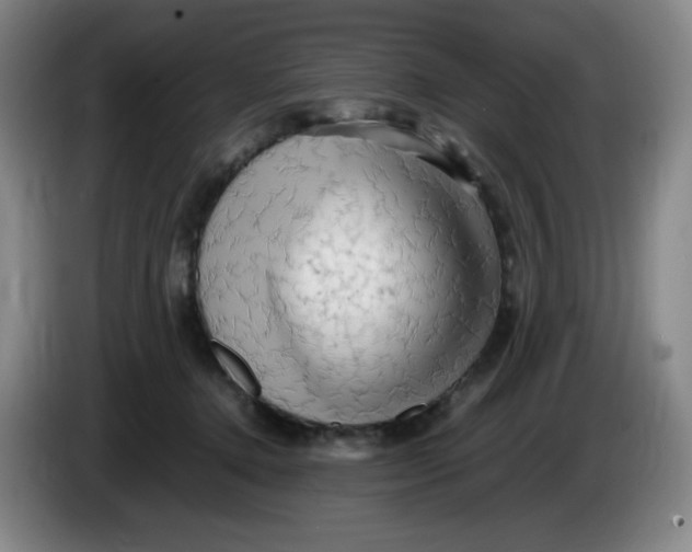 X0000086280368200704191951