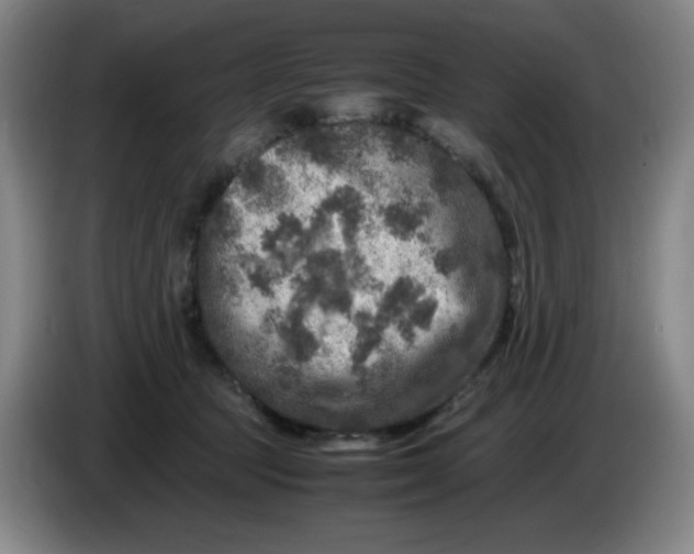 X0000086280369200704191951