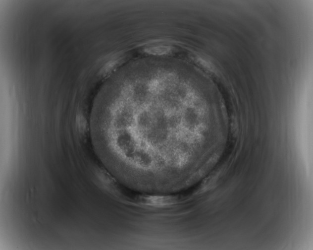 X0000086280371200704191951