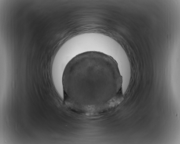 X0000086280372200704191951