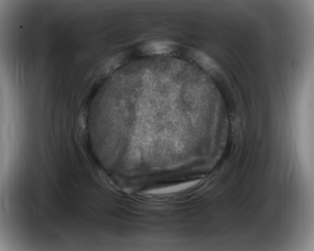 X0000086280373200704191951