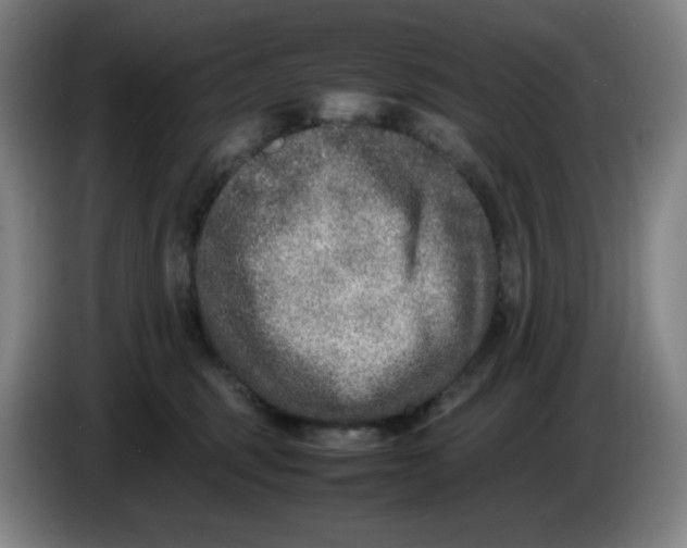 X0000086280375200704191951