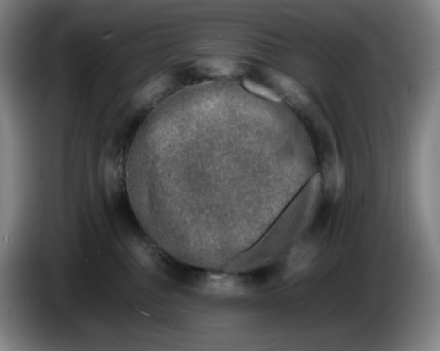 X0000086280376200704191951