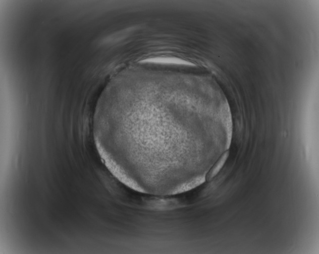 X0000086280379200704191951