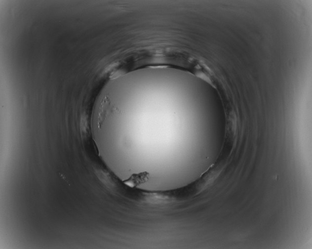 X0000086280380200704191951