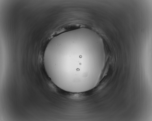 X0000086280382200704191951