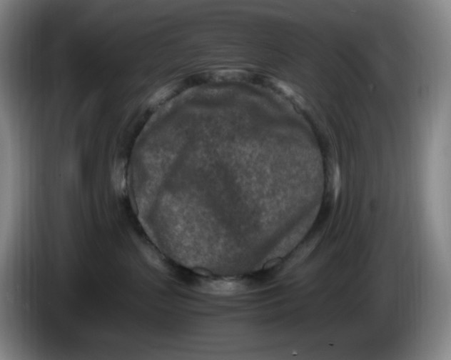 X0000086280383200704191951