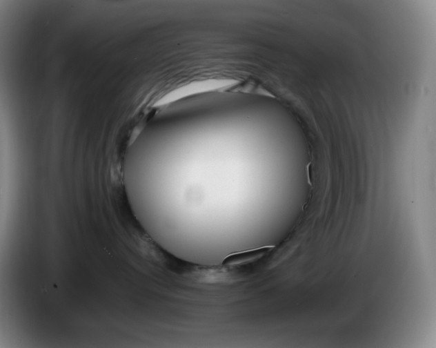 X0000086280384200704191951