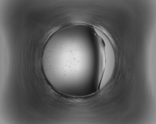 X0000086280385200704191950