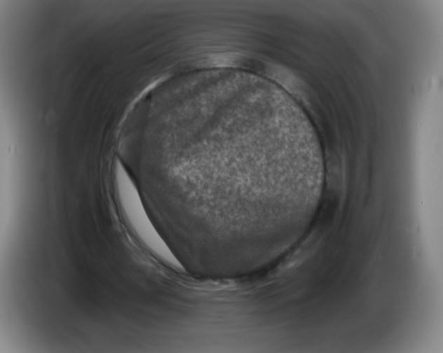 X0000086280386200704191950