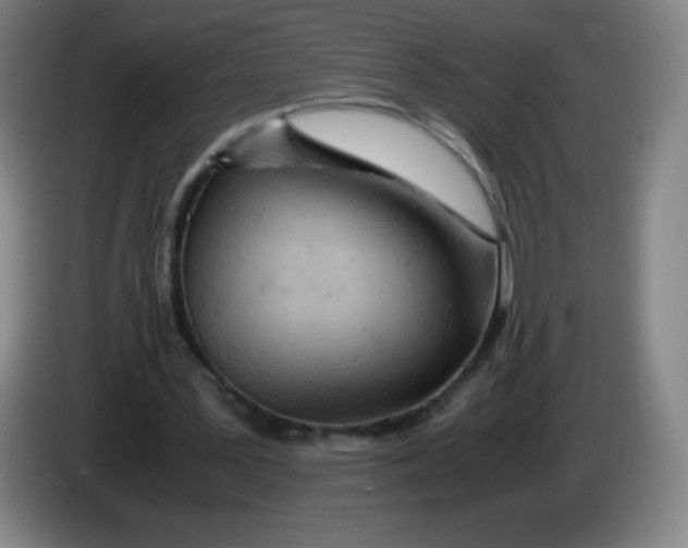 X0000086280387200704191950