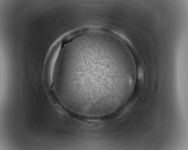 X0000086280388200704191950