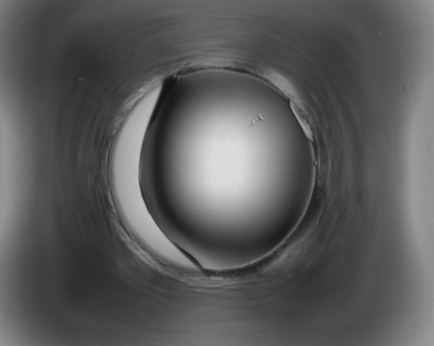 X0000086280389200704191950