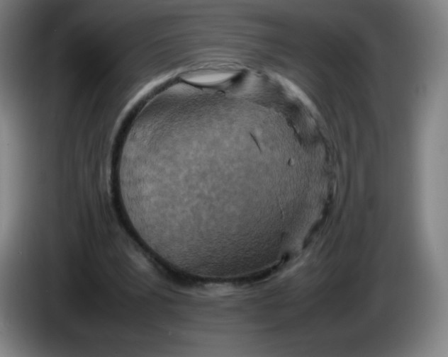 X0000086280391200704191950