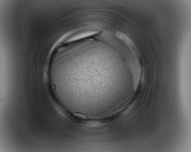 X0000086280392200704191950