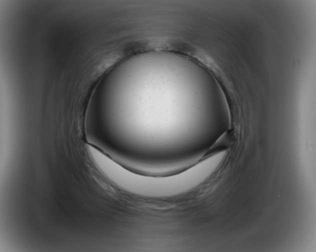 X0000086280393200704191950