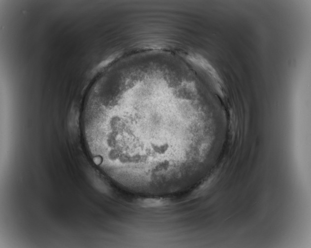 X0000086280394200704191950