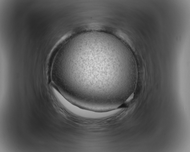 X0000086280395200704191950