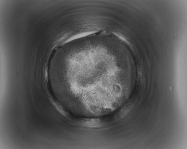 X0000086280398200704191950