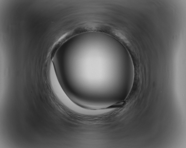 X0000086280399200704191950