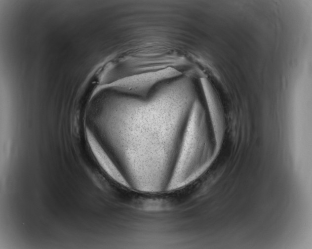 X0000086280400200704191950