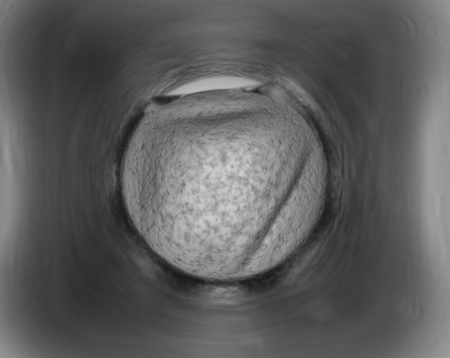 X0000086280401200704191950