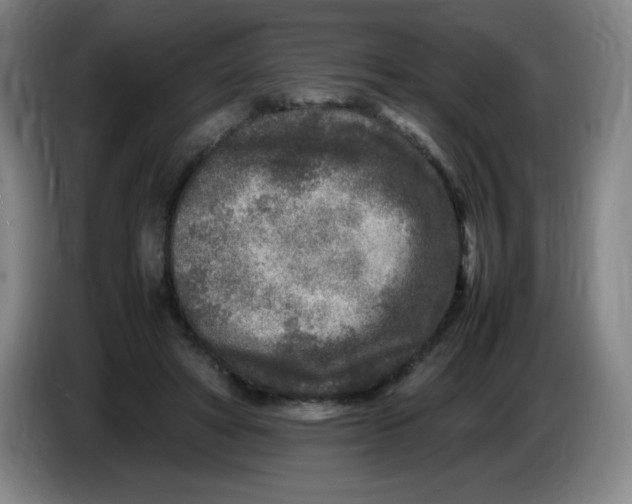 X0000086280402200704191950