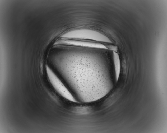 X0000086280404200704191950