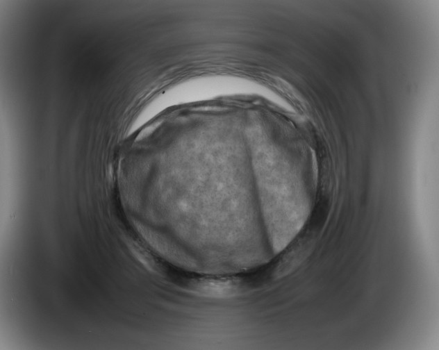 X0000086280405200704191950