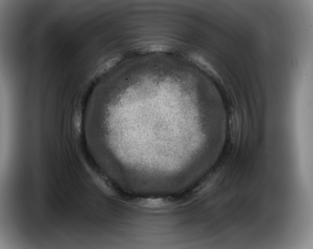 X0000086280406200704191950