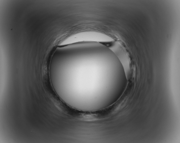 X0000086280407200704191950