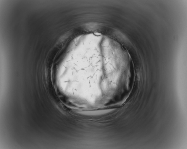 X0000086280408200704191950