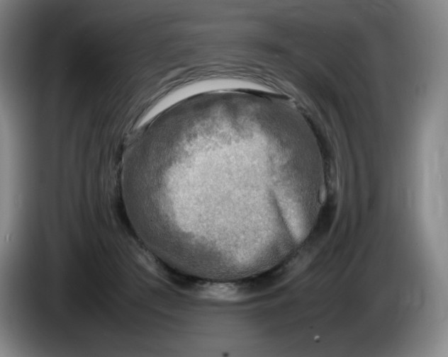 X0000086280409200704191950