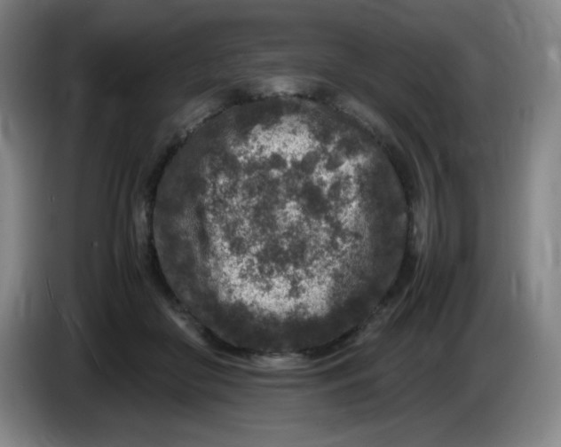 X0000086280410200704191950