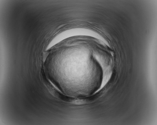 X0000086280413200704191950