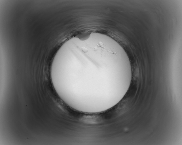 X0000086280414200704191950