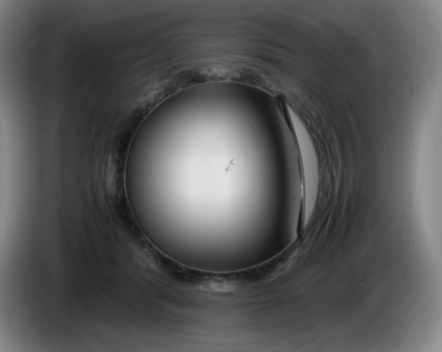 X0000086280416200704191950