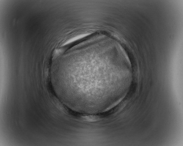 X0000086280417200704191950