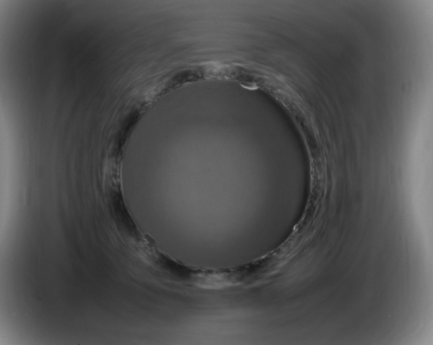 X0000086280419200704191950