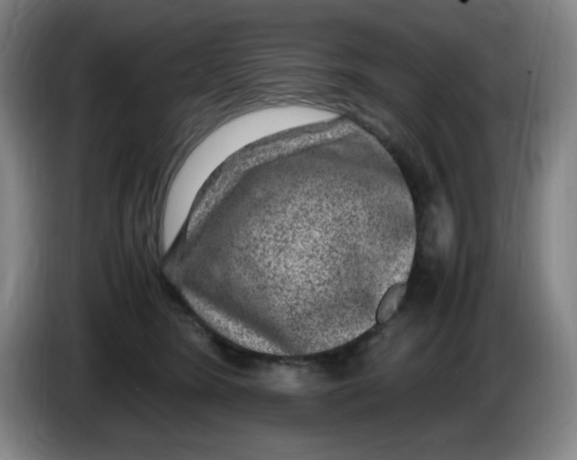 X0000086280420200704191950