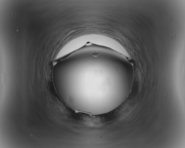 X0000086280421200704191950