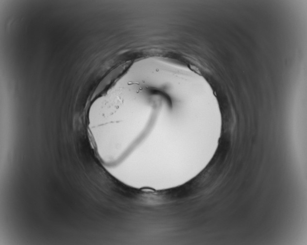 X0000086280425200704191950