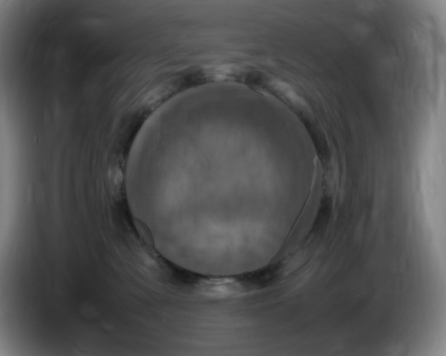 X0000086280427200704191950