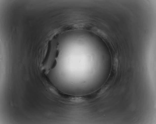 X0000086280428200704191950