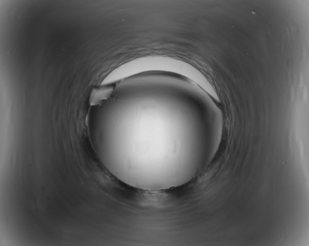 X0000086280429200704191950