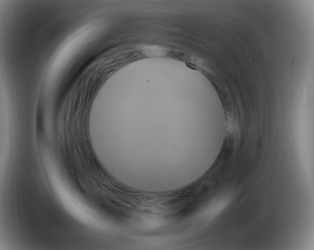 X0000086280431200704191950