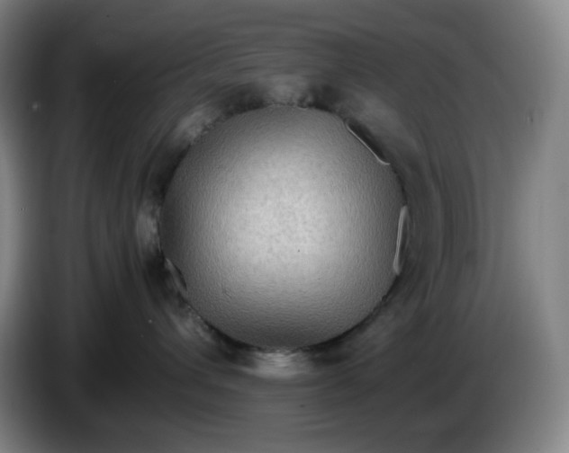 X0000086280432200704191950