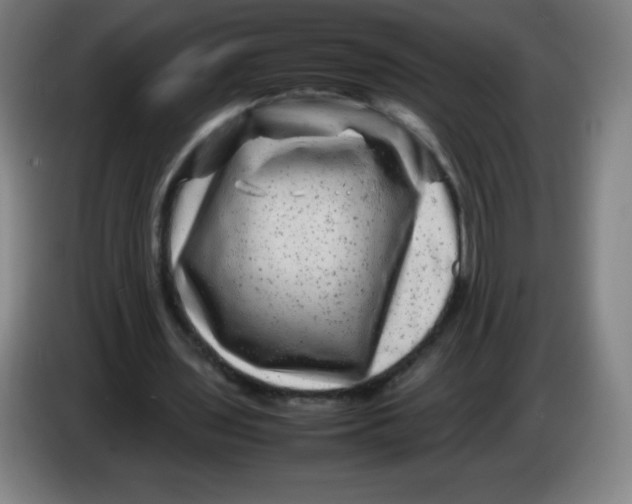 X0000086280435200704191949