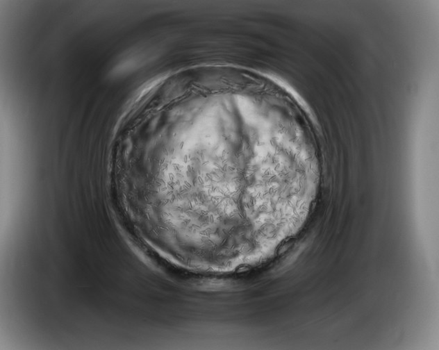 X0000086280437200704191949